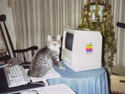 Fluffy at Macintosh